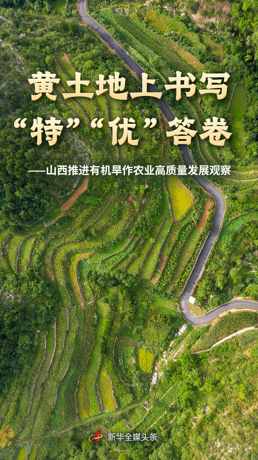 满冠体育